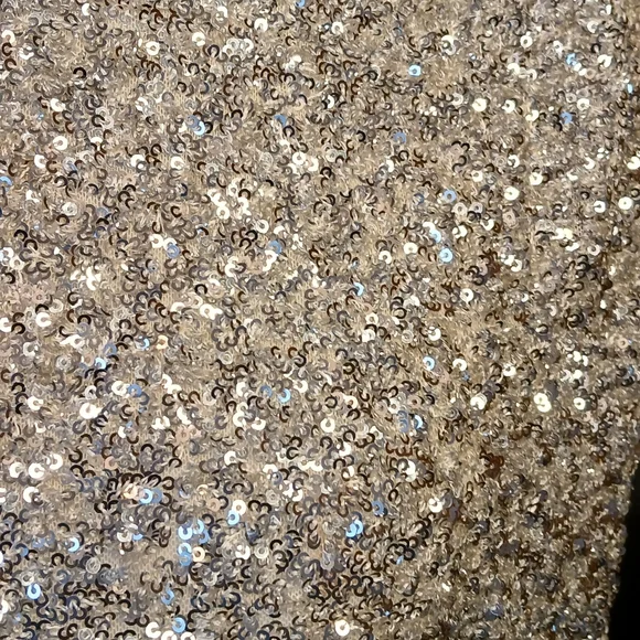 Zara Sequin Dress - Picture 6 of 10